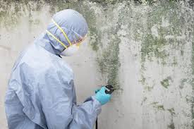 Best Biohazard Mold Removal  in Adamsville, AL